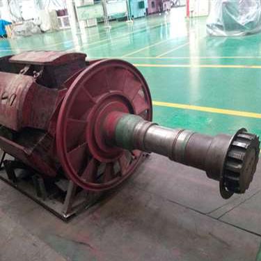 北京某變頻柜廠家試驗(yàn)用電機(jī)T3200、1730-10KV轉(zhuǎn)子磁極線圈修復(fù)