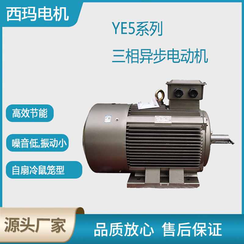 西瑪品牌YE5型號(hào)三相異步電動(dòng)機(jī)賞析！